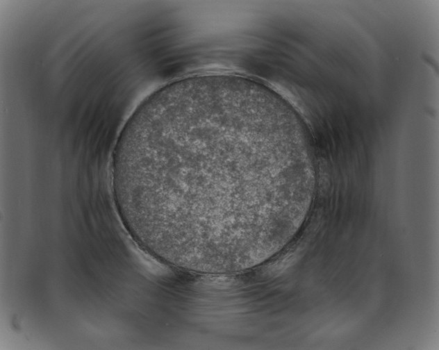 X0000098121474200804251440