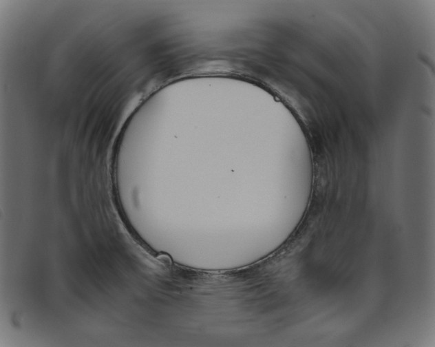 X0000098121475200804251440