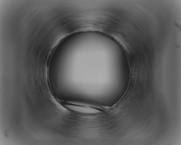X0000098121476200804251440