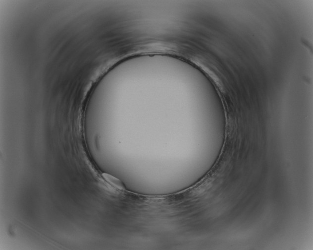 X0000098121477200804251440