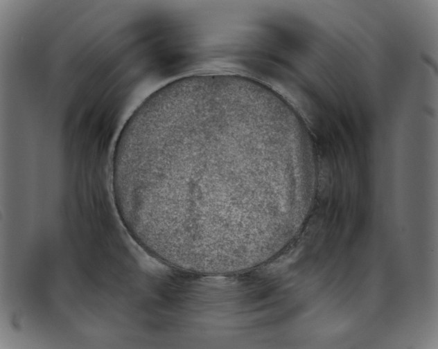 X0000098121478200804251440
