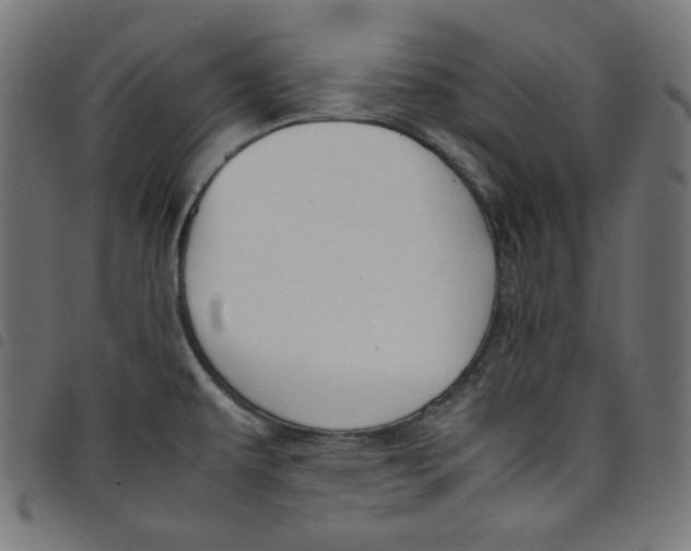 X0000098121479200804251440