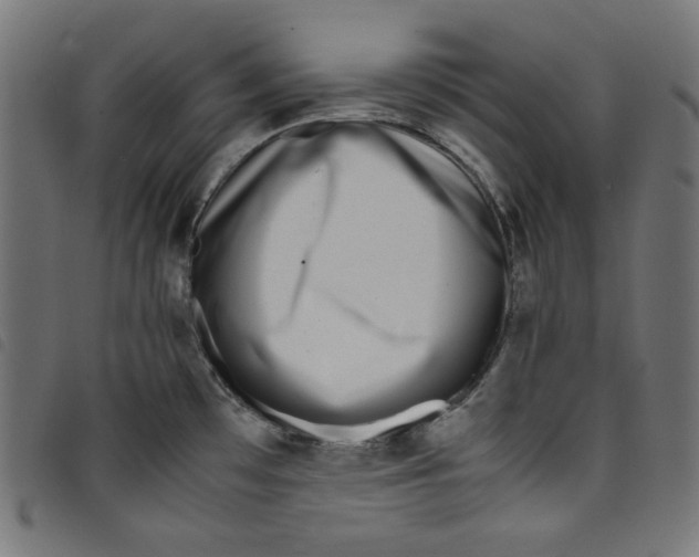X0000098121481200804251440