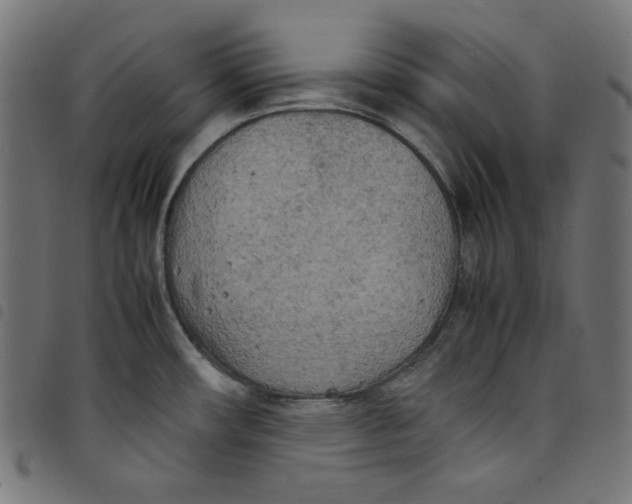 X0000098121482200804251440