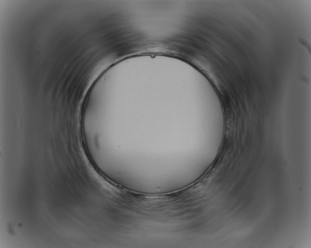 X0000098121483200804251440
