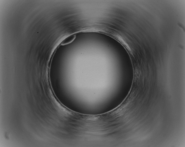X0000098121484200804251440