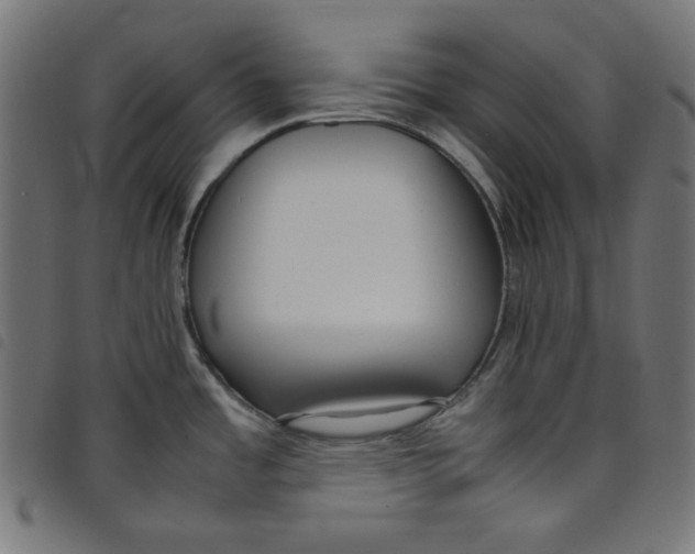 X0000098121485200804251440