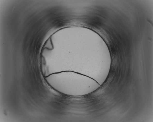 X0000098121486200804251440