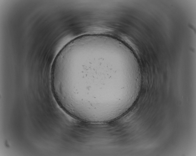 X0000098121487200804251440