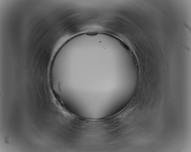 X0000098121488200804251440