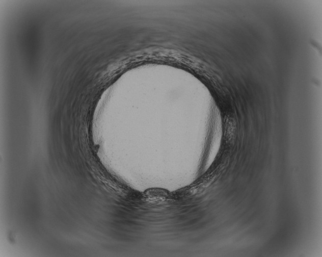 X0000098121489200804251439
