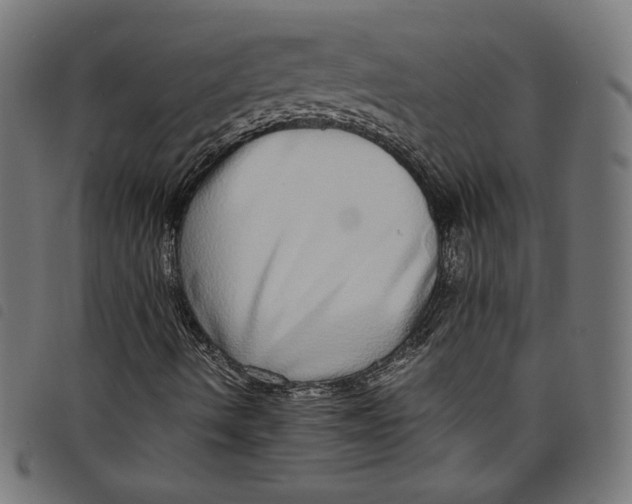 X0000098121490200804251439