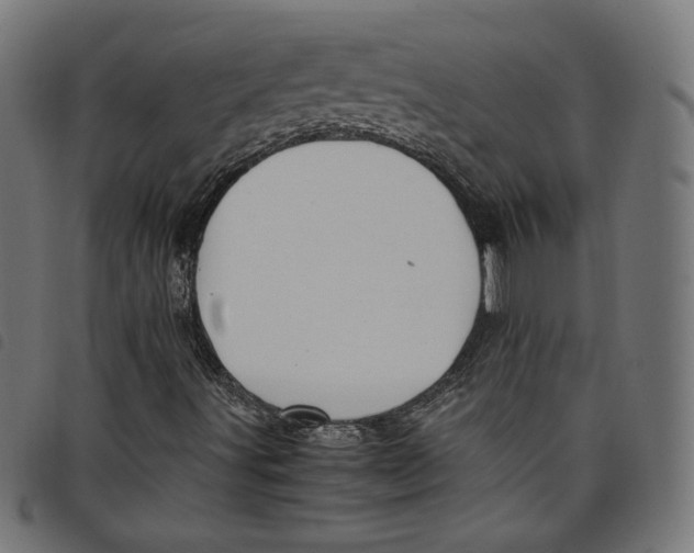 X0000098121491200804251439