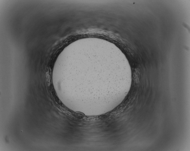 X0000098121493200804251439