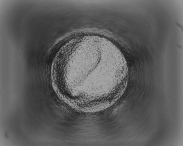 X0000098121494200804251439