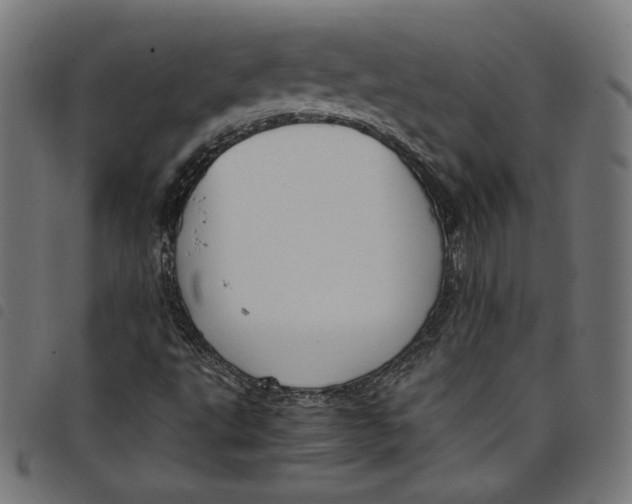 X0000098121495200804251439