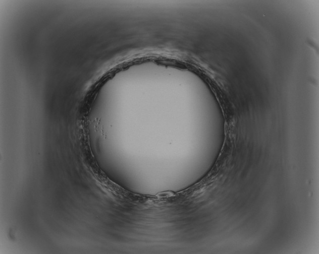 X0000098121496200804251439