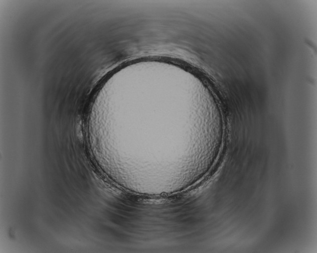 X0000098121497200804251439