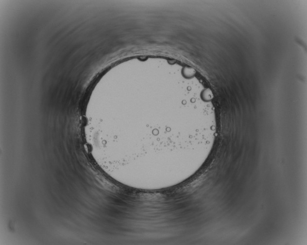 X0000098121498200804251439