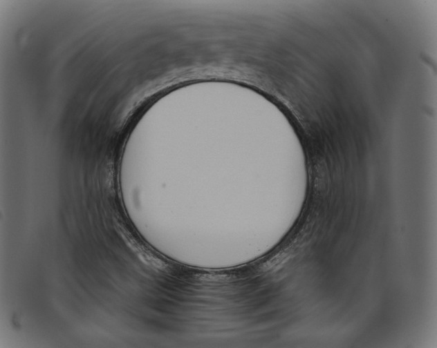 X0000098121499200804251439