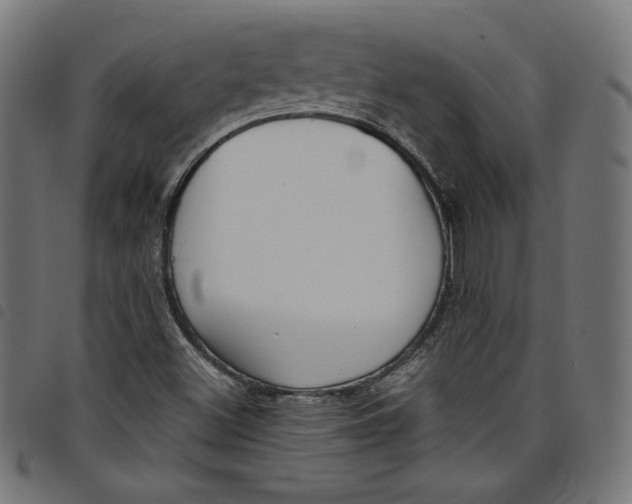 X0000098121500200804251439