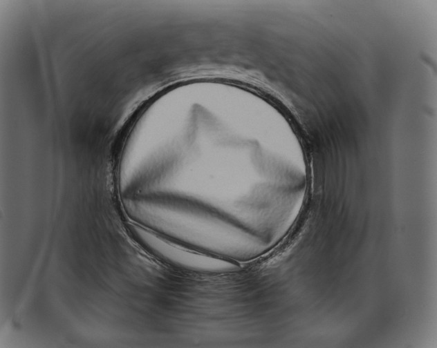 X0000098121501200804251439