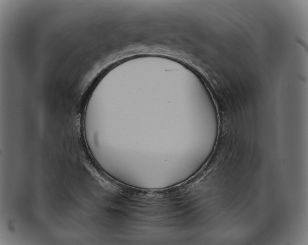 X0000098121503200804251439