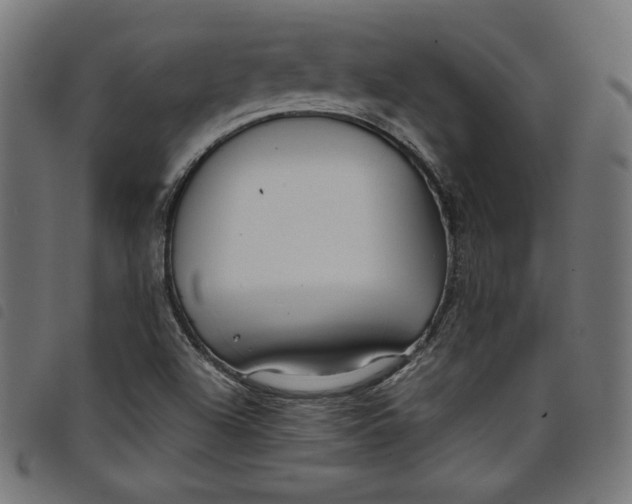 X0000098121504200804251439