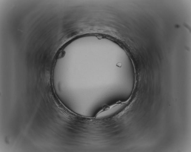 X0000098121505200804251439