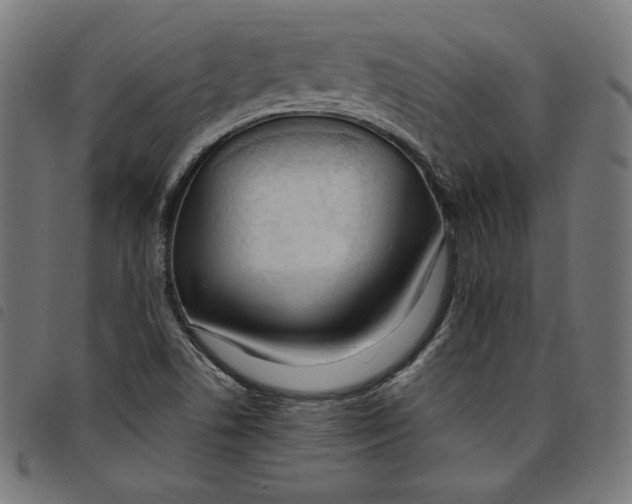 X0000098121506200804251439
