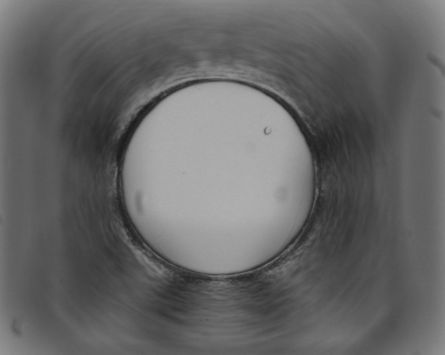 X0000098121507200804251439