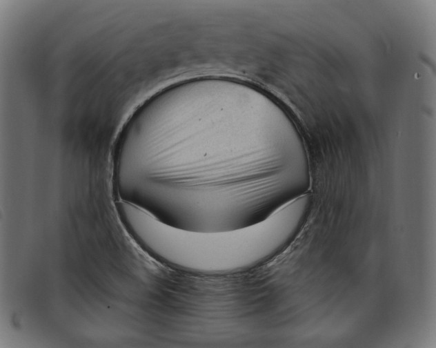 X0000098121508200804251439