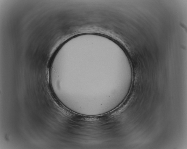 X0000098121509200804251439