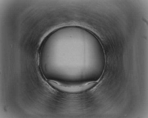 X0000098121510200804251439