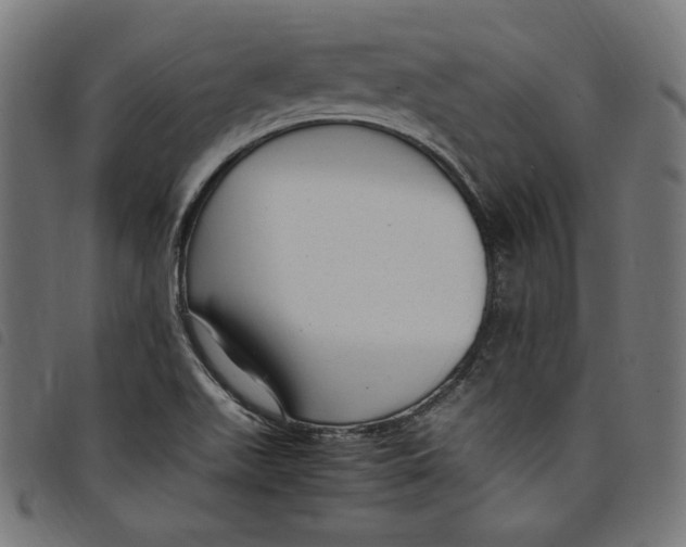 X0000098121511200804251439