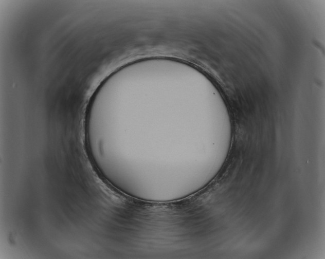X0000098121512200804251439