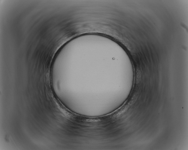 X0000098121513200804251439