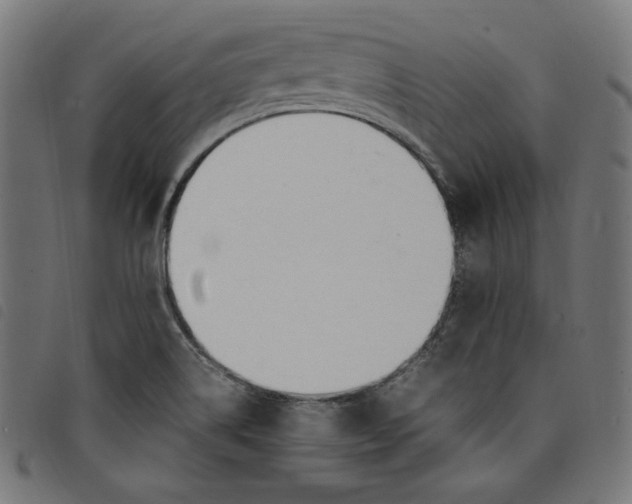 X0000098121514200804251439