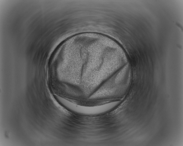 X0000098121515200804251439