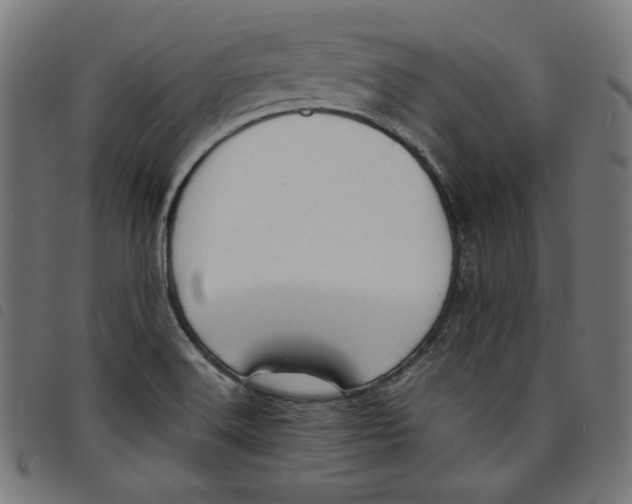 X0000098121516200804251439