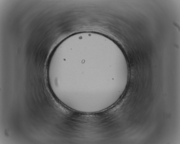 X0000098121517200804251439