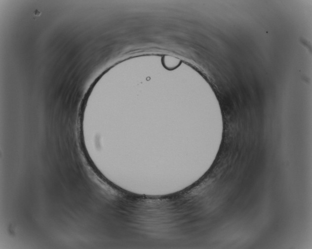 X0000098121518200804251439