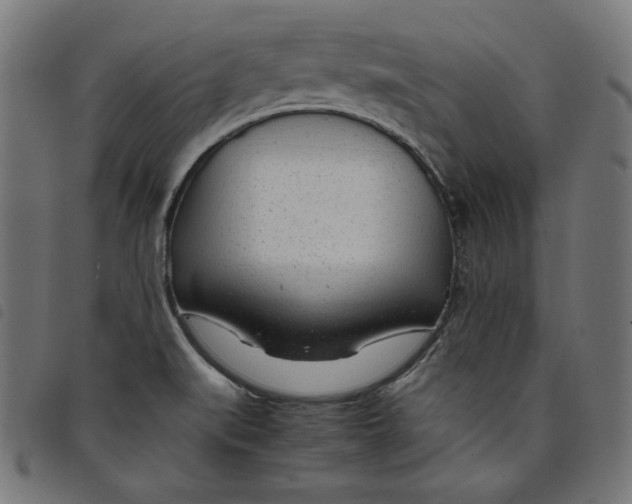 X0000098121519200804251439