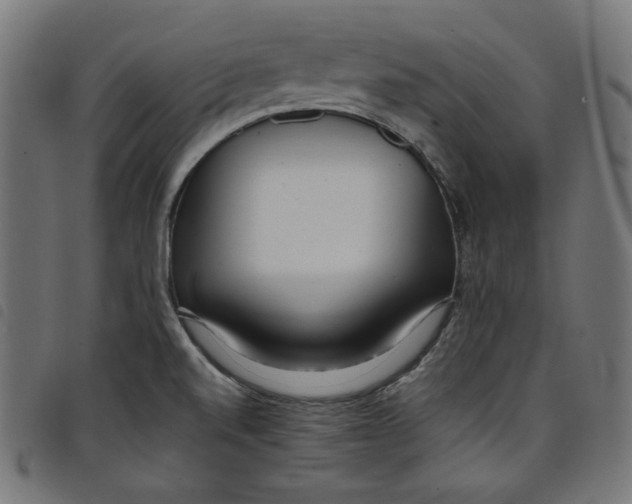 X0000098121520200804251440