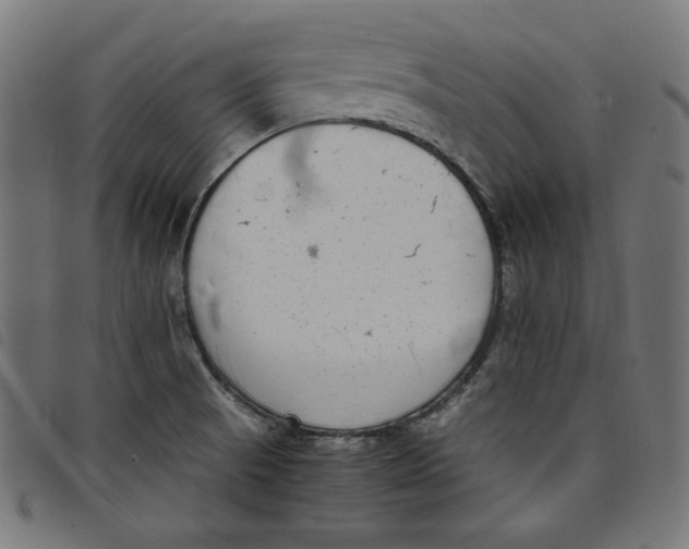 X0000098121521200804251440