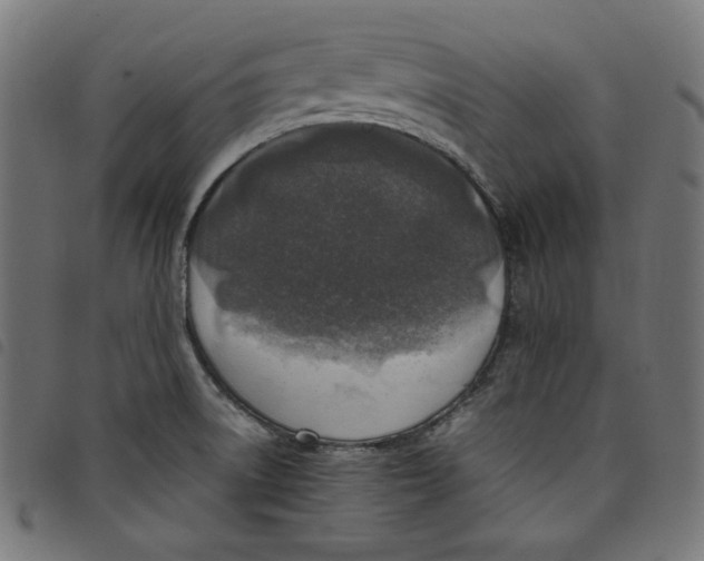 X0000098121522200804251440