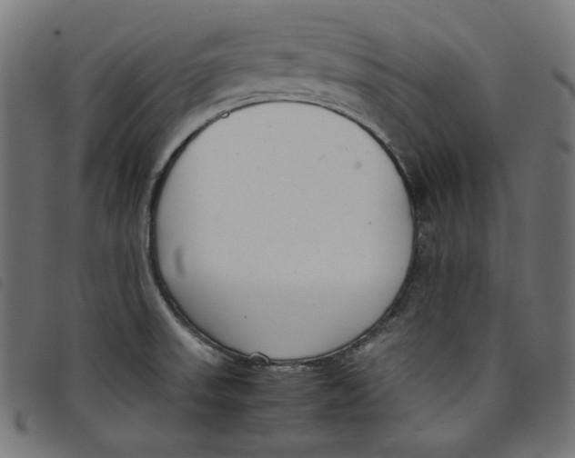 X0000098121523200804251440