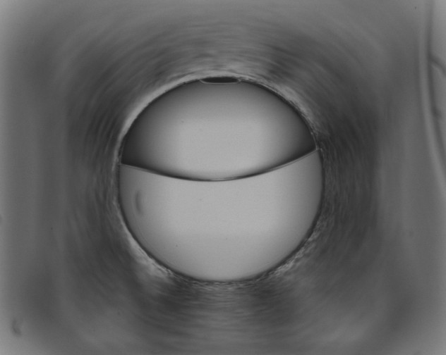 X0000098121524200804251440