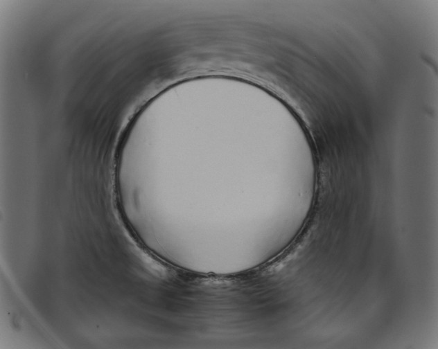 X0000098121525200804251440