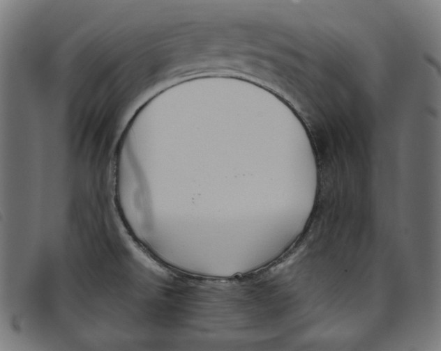 X0000098121526200804251440